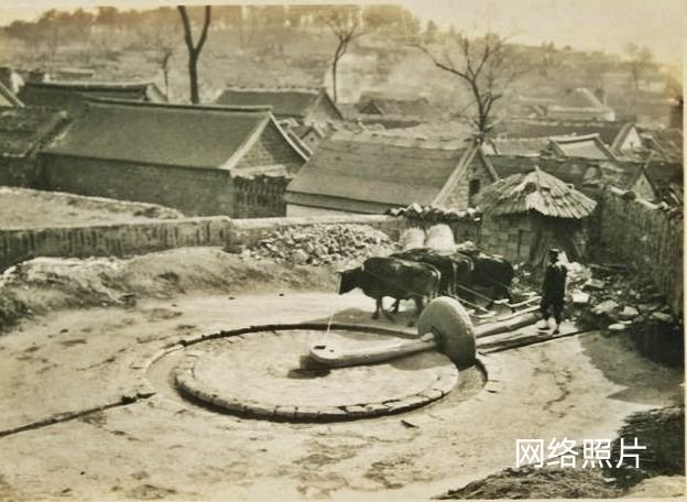 博山陶瓷70年代,博山七八十年代的陶瓷欣赏