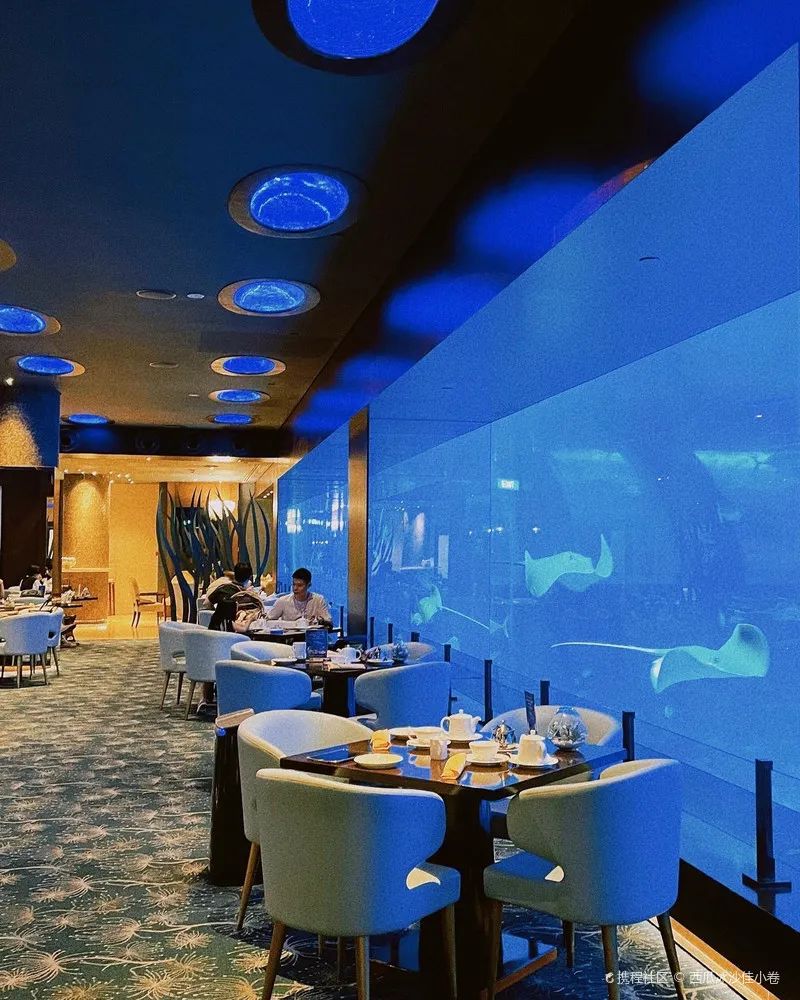 造价500万美元的海底餐厅！开一瓶5.2万美元的水晶香槟