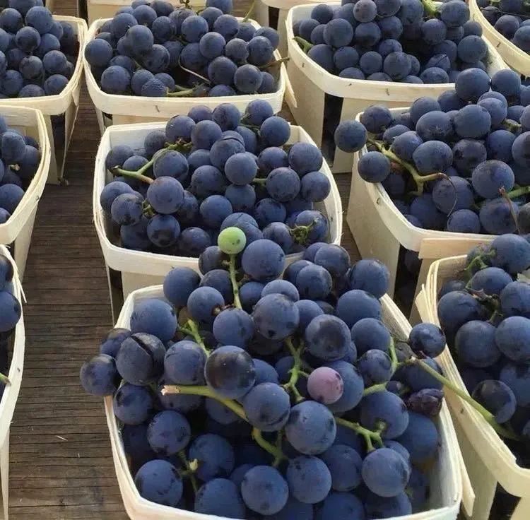 微信朋友圈动态背景图,微信朋友圈背景图暴富