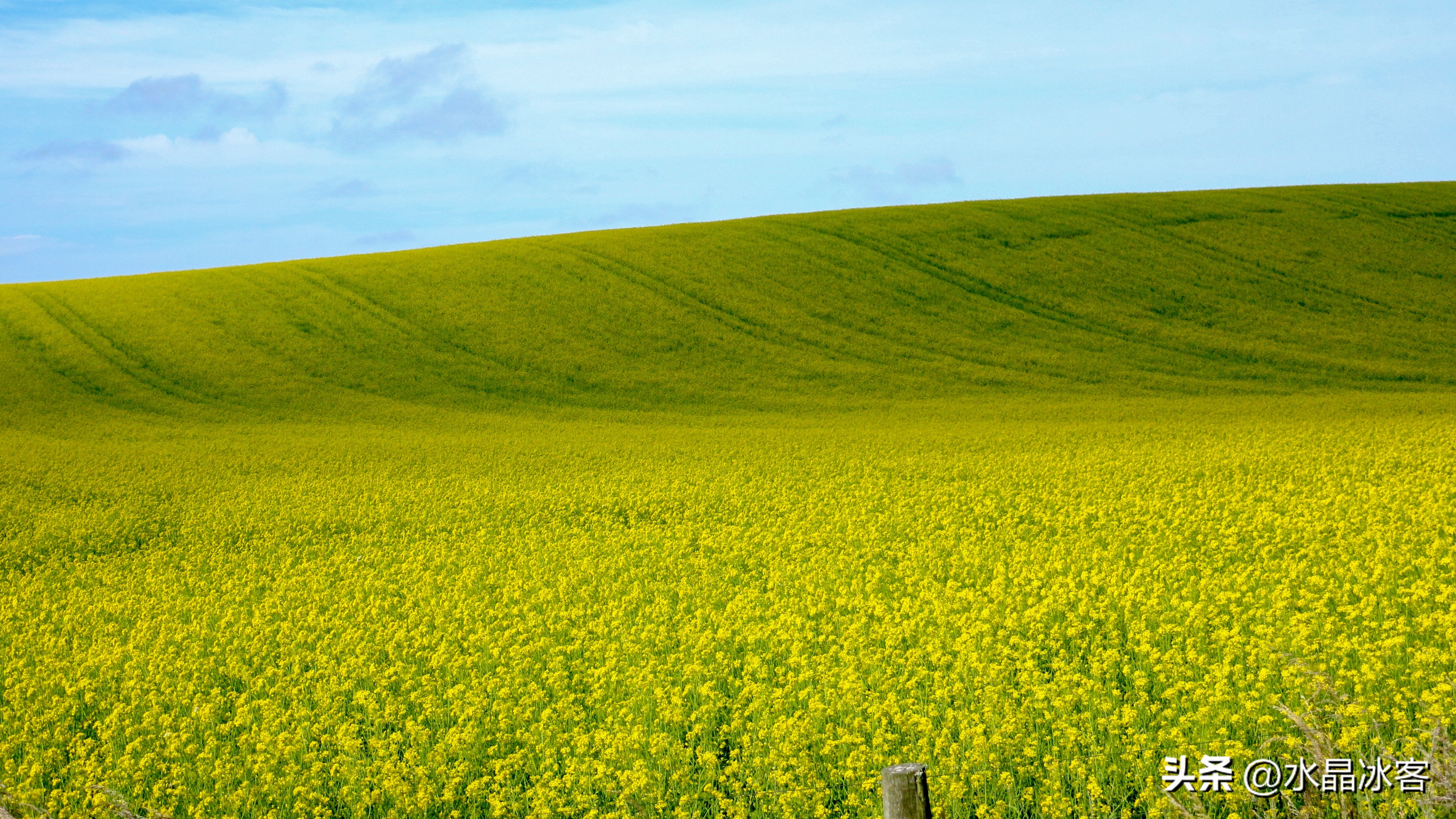 南岛新西兰之旅,新西兰之南岛