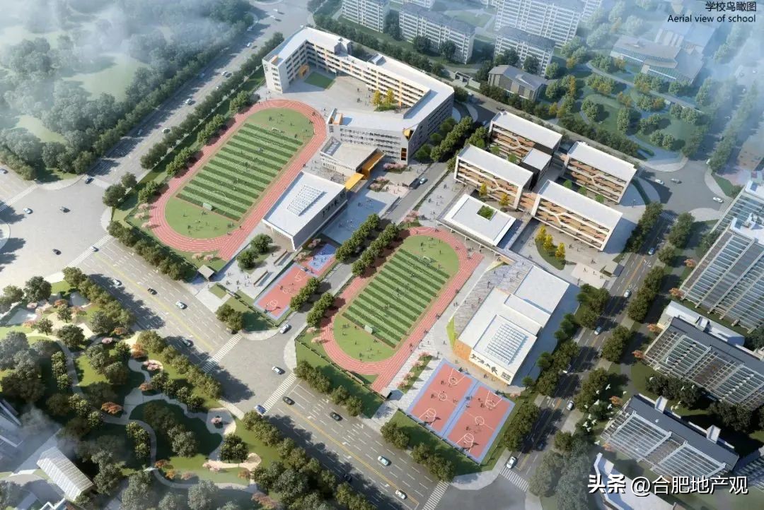 合肥各个区域学区学校排名,合肥五中东校区学区划分