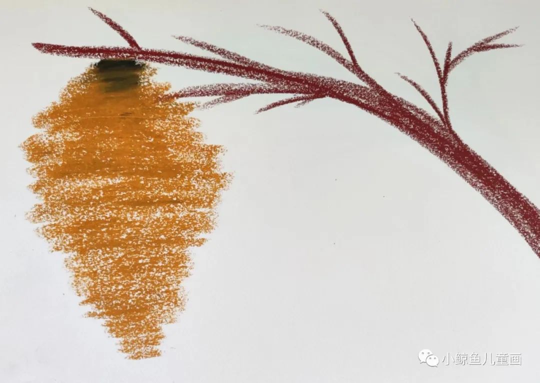 蜜蜂采蜜回家全过程,蜜蜂采蜜回家的样子