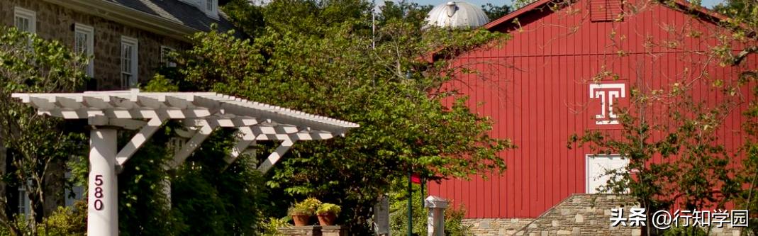 美国天普大学的申请条件,sgu项目本科申请条件