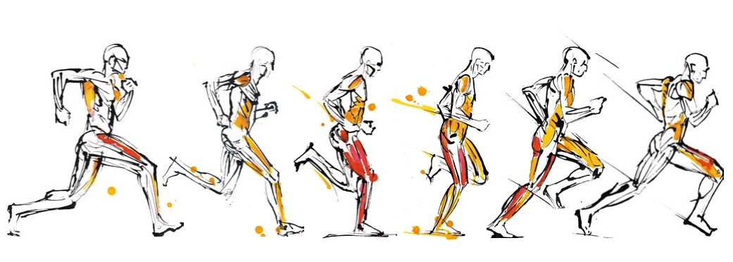 跑步界的健康跑,跑步最大的谎言就是健康跑