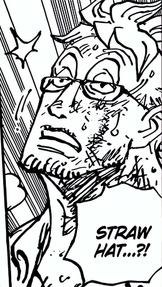 1037话海贼王情报分析,海贼王第1044话情报妮卡是什么