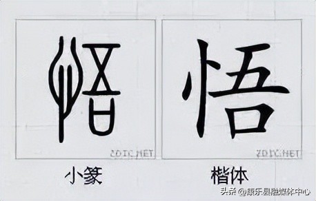 水平极高的演讲非常震撼cc讲坛,周海宏极高水平演讲