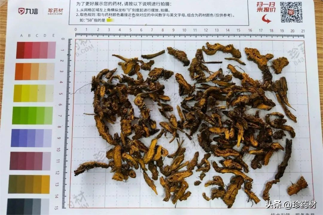 中草药苍术市场行情,中药材苍术行情直播