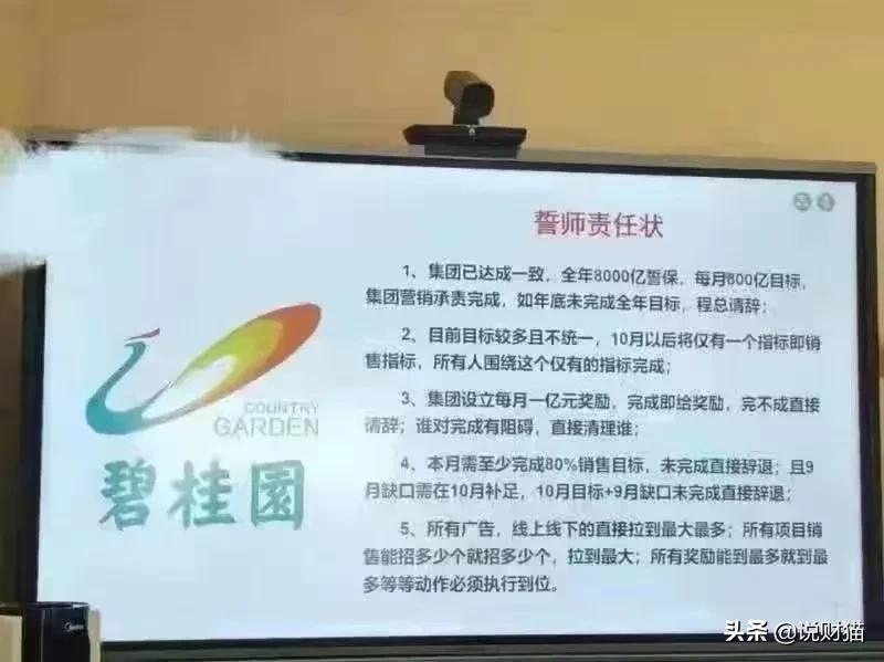 碧桂园降价风险大不,楼盘降价业主称一夜损失50万