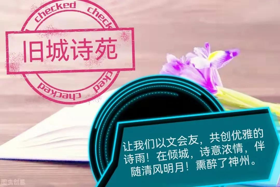 周末,再赴金湾找一个水草丰美的河畔,享受岁月静好