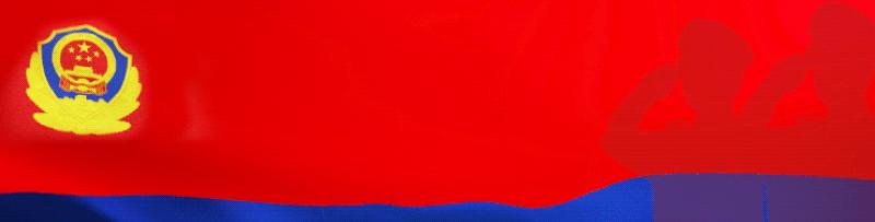 公安部夏日治安打击整治,2022夏季治安打击整治成果