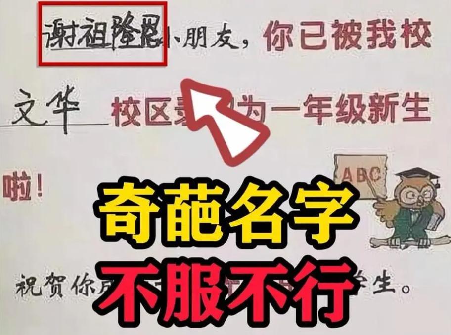 小学女生因姓名极简走红,小学女生因名字极简火了