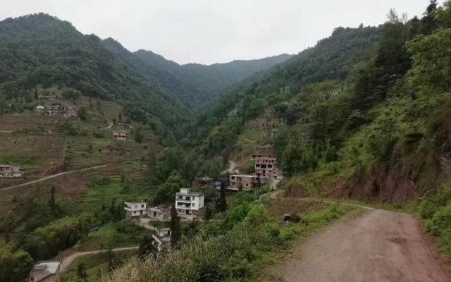 云南三姐弟死亡之谜,云南三姐弟死亡真相