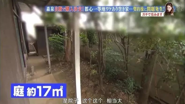 日本林志玲,从模特变包工头!砸4000W买破房,又花500W拆了重装