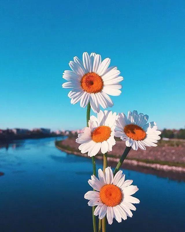 今日人生心灵鸡汤经典语录大全,2021心灵鸡汤人生感悟