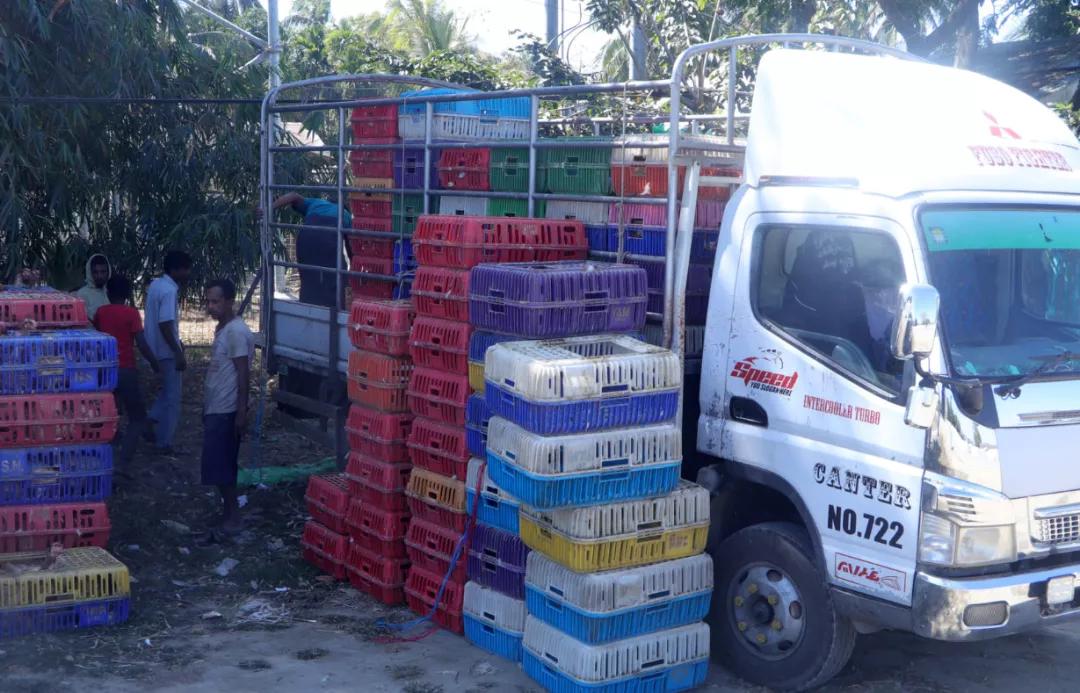 缅甸疫情严峻,缅甸疫情食物购买