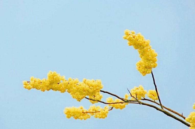 命不好的人身上往往有三个通病,命不好的人有什么面相特征