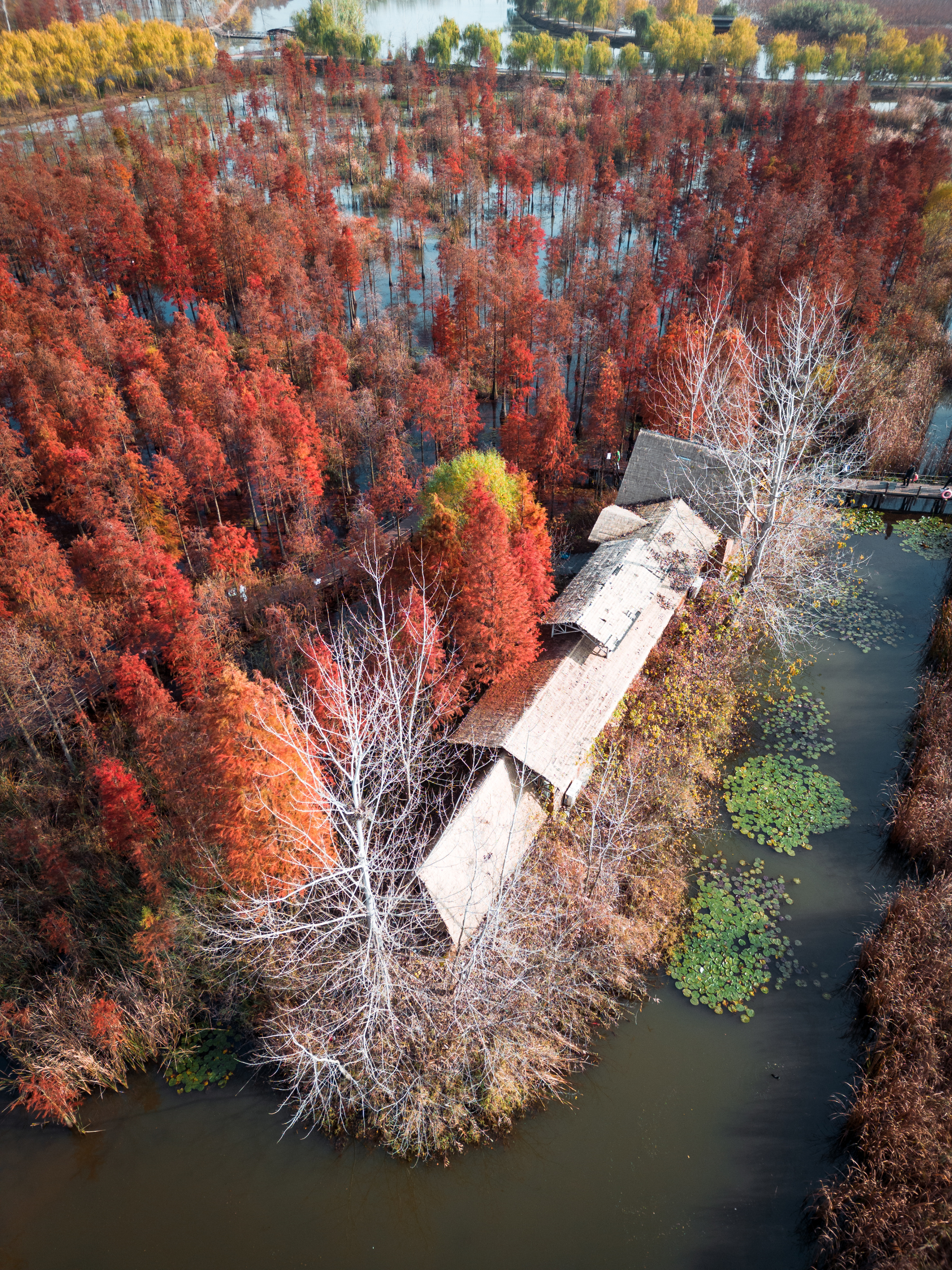 苏浙皖赣的旅游景点有多少,苏皖旅游景点推荐