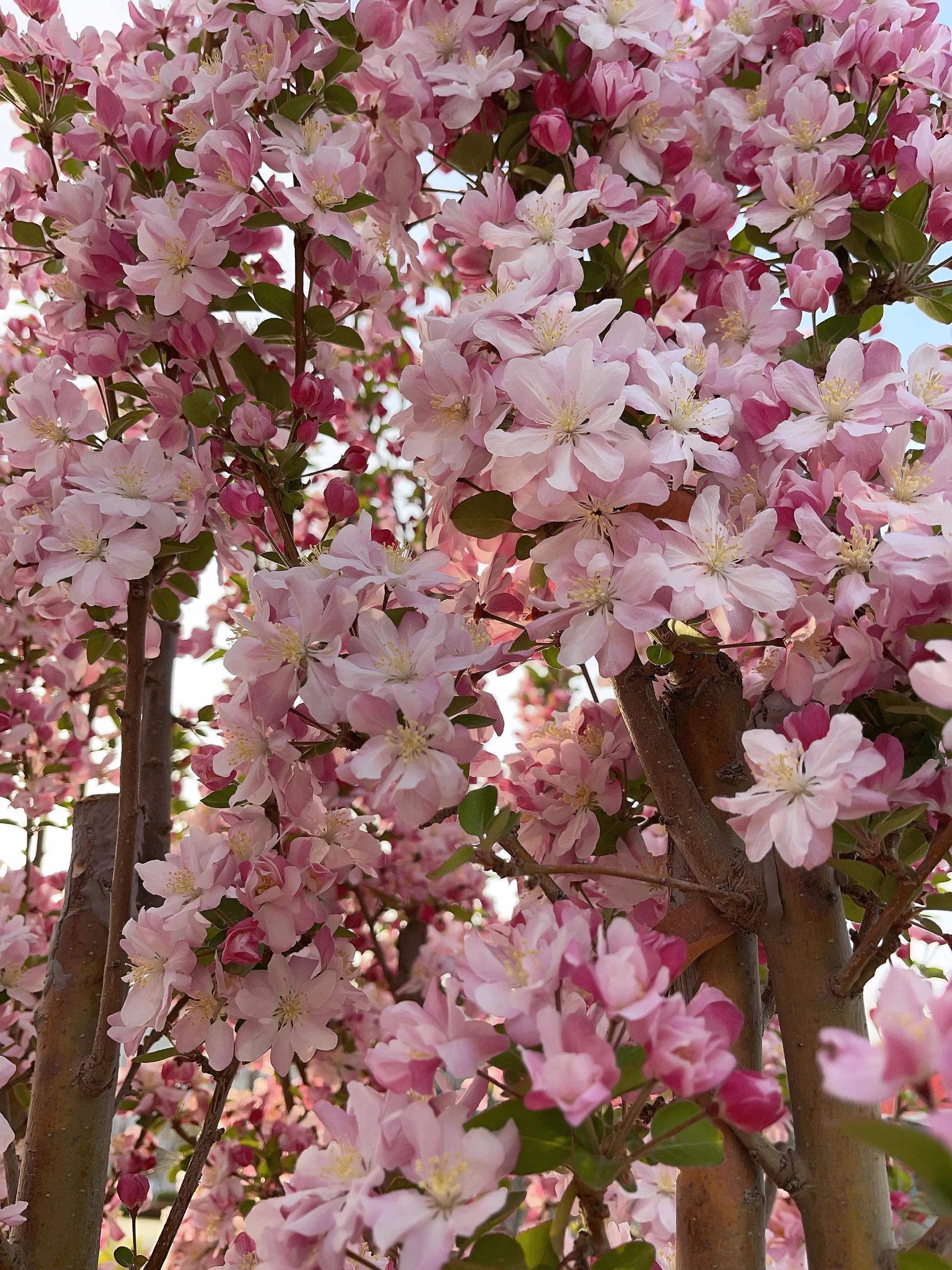 世界读书日快乐朗读,世界读书日快乐阅读幸福成长