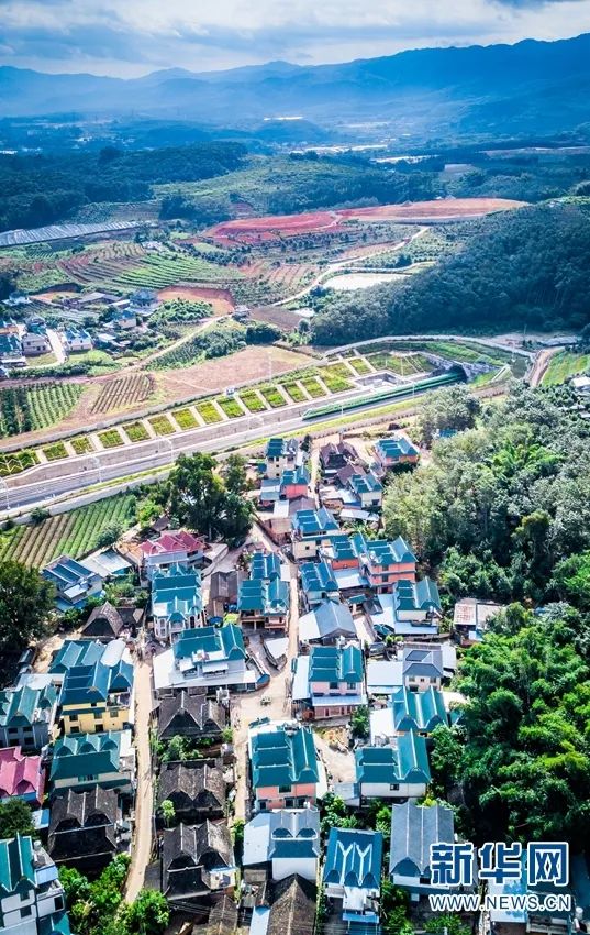 开通抖音一百天,中老铁路开通100天成绩很亮眼