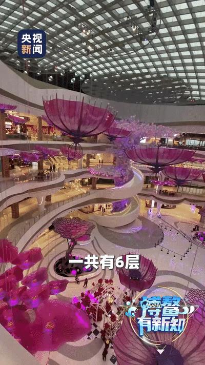 这里，专门为椰子出了规划！