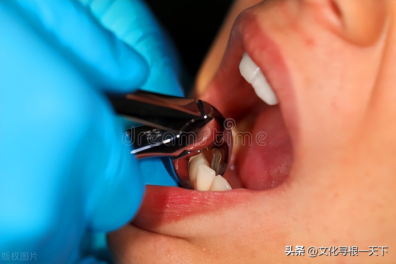 看牙记录视频大全,看牙记作文200字