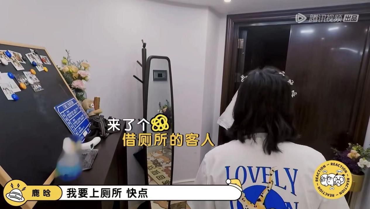 鹿晗明星回到母校名场面完整版,鹿晗综艺毛雪汪第几期