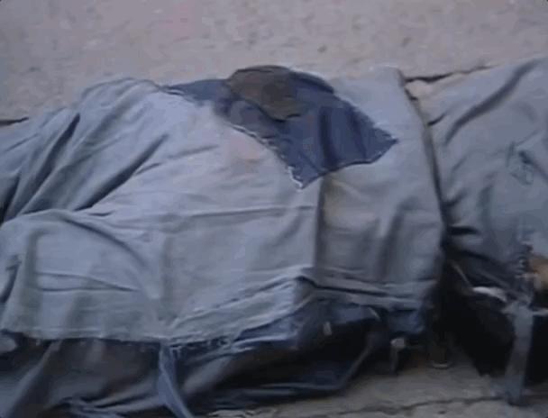 活佛济公游本昌,济公游本昌90岁再获奖