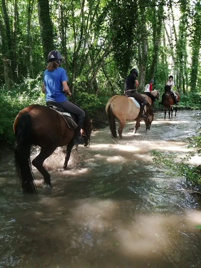 香槟葡萄园旅行,旅游香槟