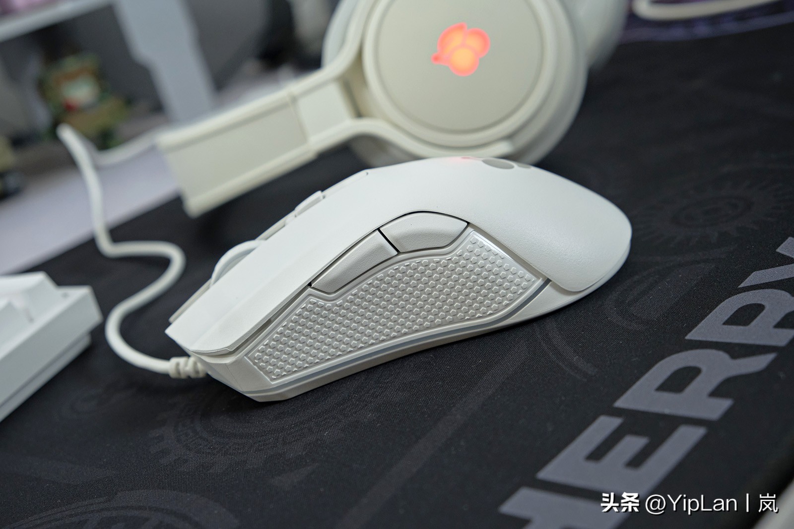 cherry澶栬鎺ㄨ崘,cherry澶栬鍜嬫牱