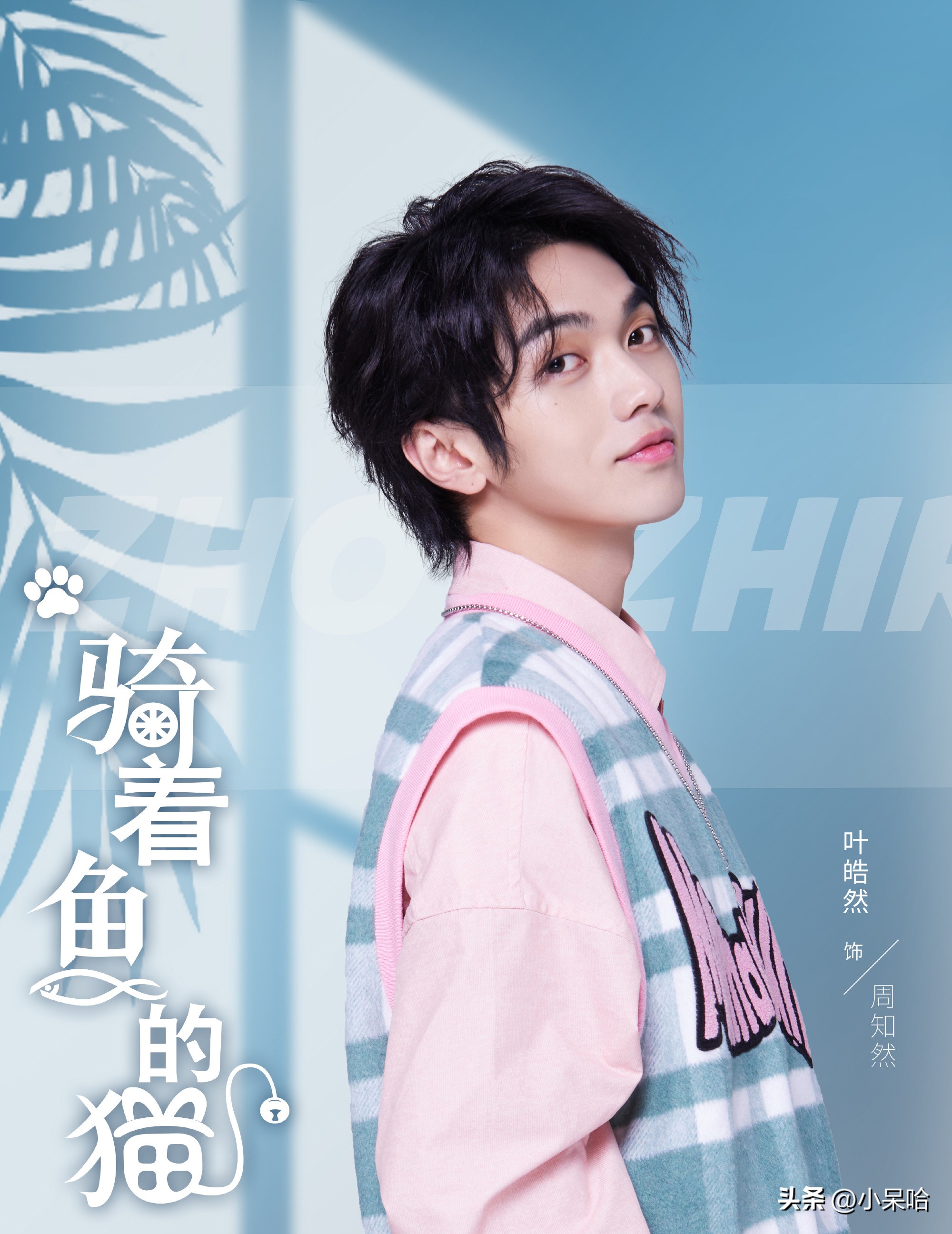 国风少女VS双面霸总，最新甜宠治愈剧《骑着鱼的猫》强势来袭！