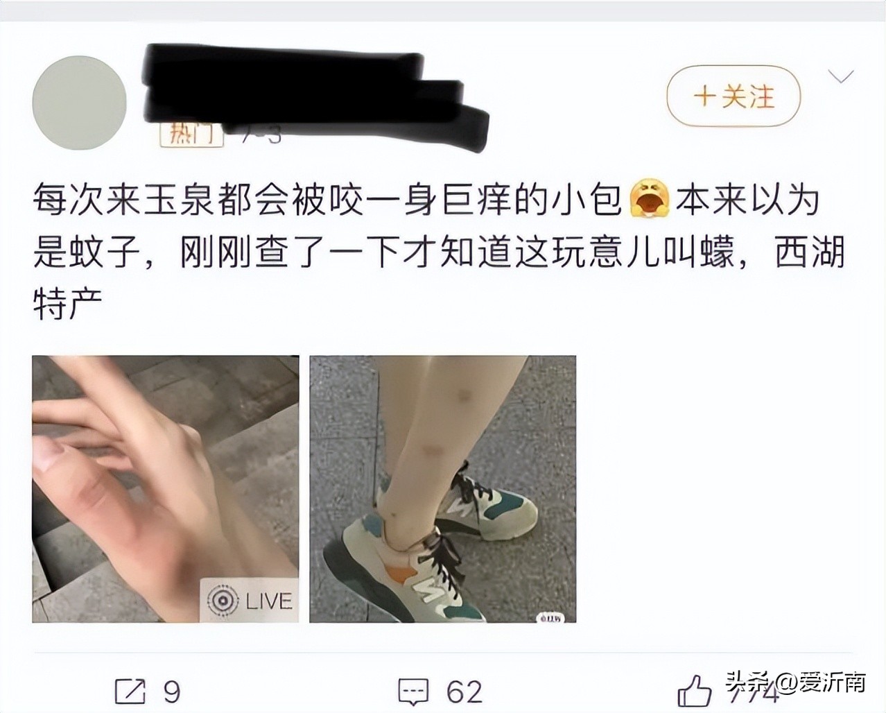 身上突然痒是蚊子吗,身上无缘无故的痒到处长蚊子大包