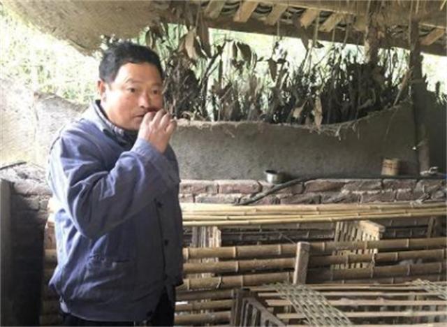 四川的小伙流落巴西,四川小伙背井离乡视频