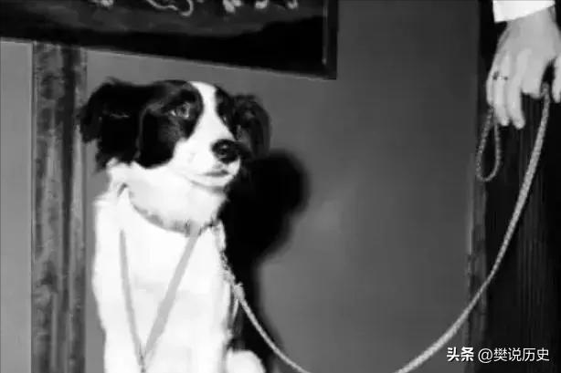 雷米特金杯为什么永久属于巴西,巴西保留世界杯奖杯金球