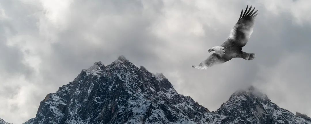 唐杜甫画鹰中最重要的一句,杜甫画鹰的诗句是什么意思
