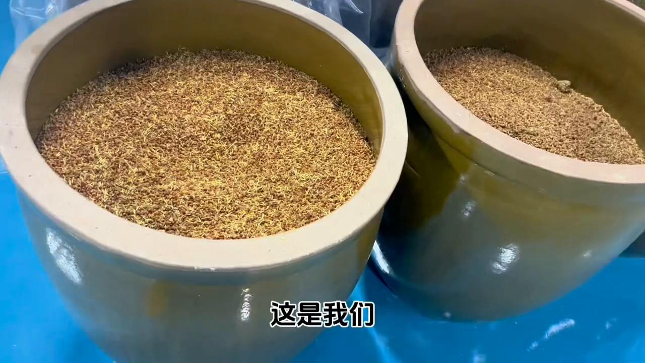每天酿100斤酒小作坊,纯粮食酿酒生产流水线
