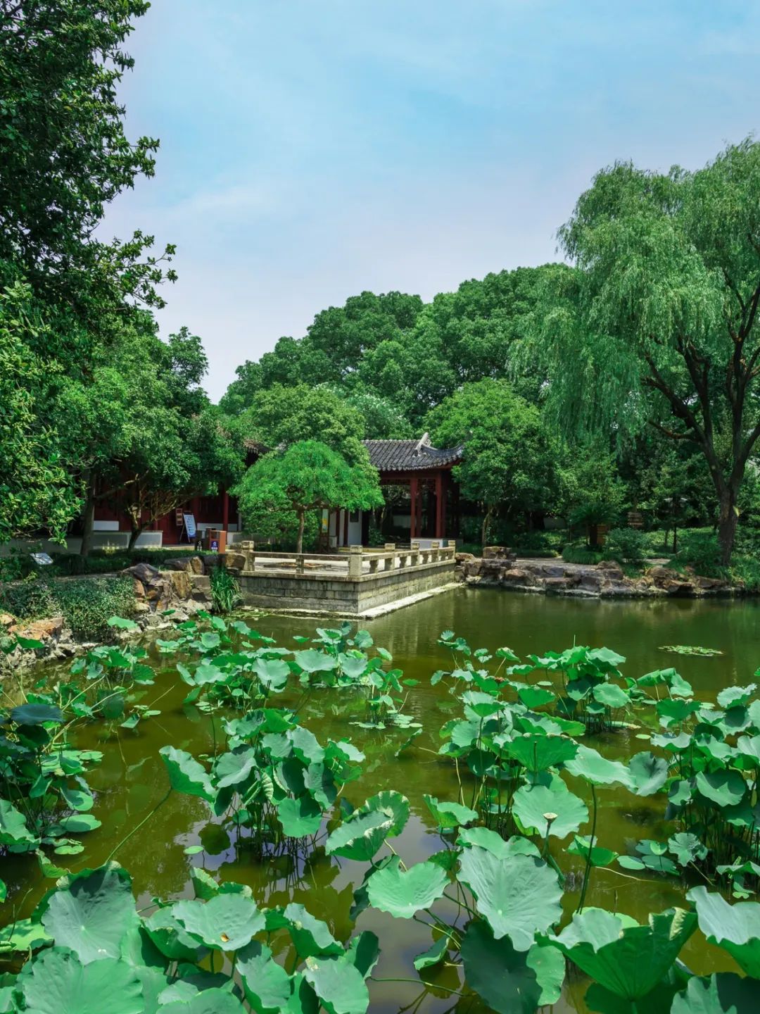 520年一遇，2022上海最浪漫打卡地出炉