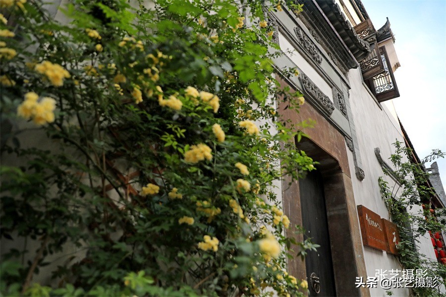 湘西洪江古城全景图,湘西洪江古城景点介绍