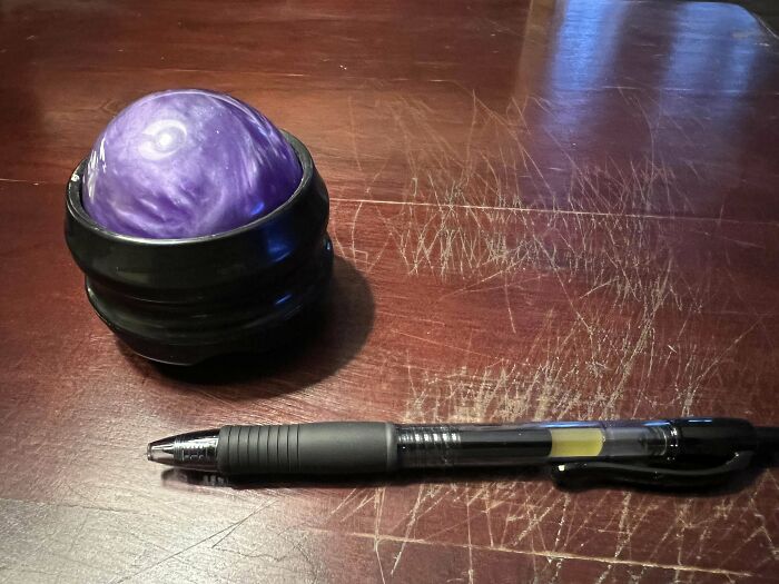 鉴定网上的奇特生物,鉴定神秘生物视频