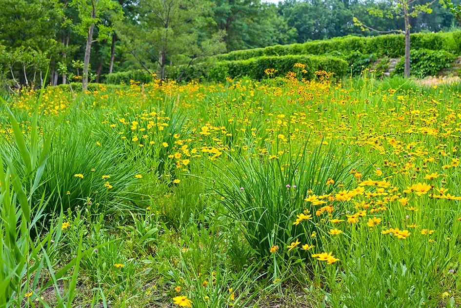 北京免费景美公园大全,北京这个公园也很美