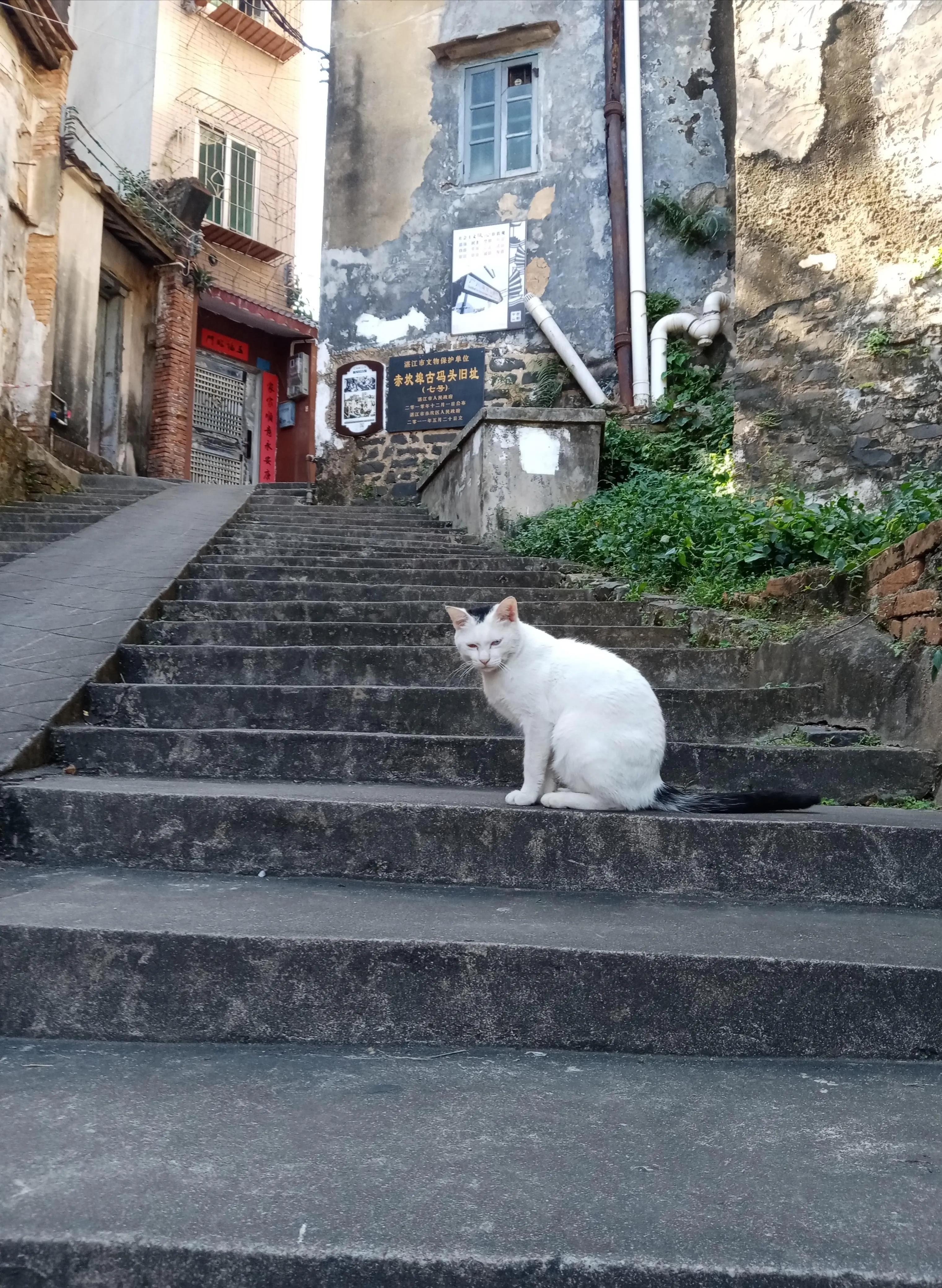 赤坎老街的景点,赤坎老街景点