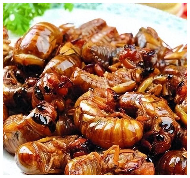 山东吃的特色美食清真,山东地方菜最有名的30道菜