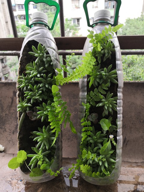 怎么给手机里的相片加框,手机如何拼图相片加文字