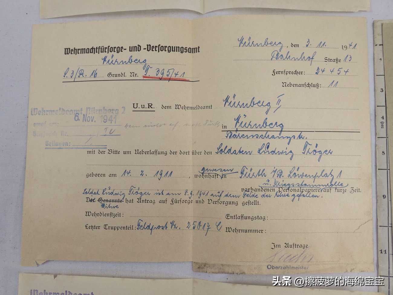 二战时德国军人的肩章,二战德国兵种领章