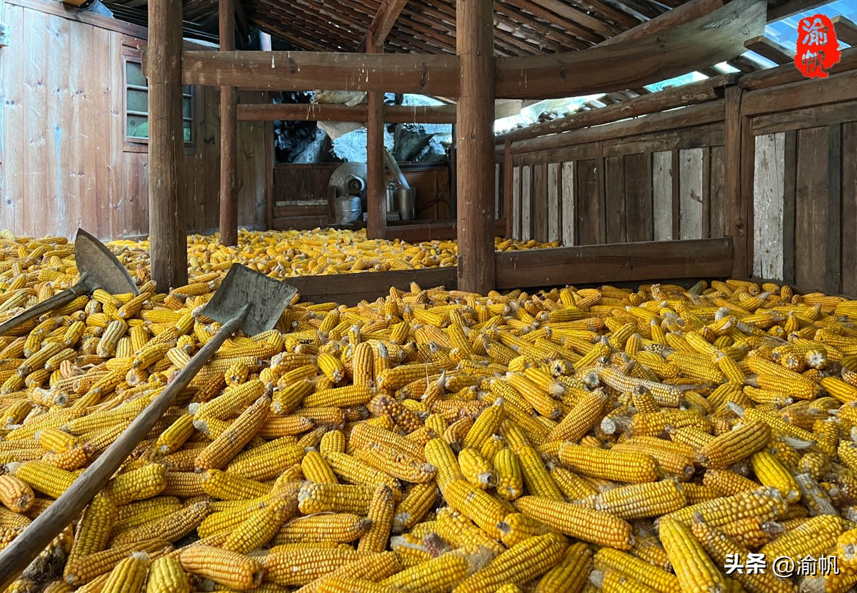 重庆深山悬崖上发现辉煌建筑房屋,重庆大山悬崖峭壁发现千年古房子