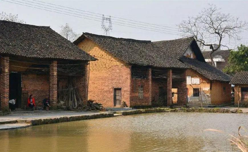 散文：一项有趣的晨练运动