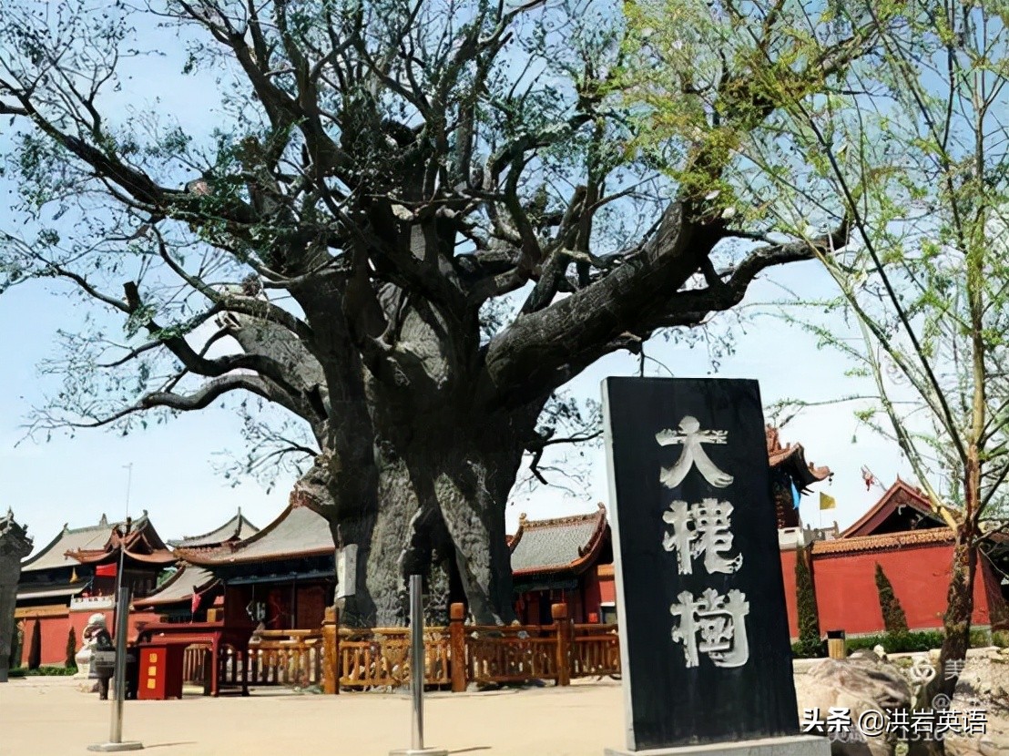 项城张氏的来历,河南项城市张氏家族谱