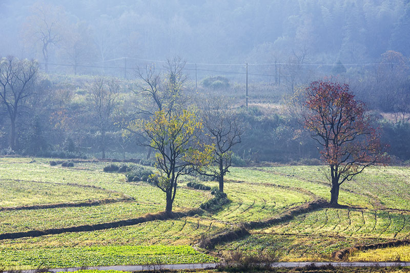 黄山市到皖南川藏线自驾游攻略,黄山市到徽州古城旅游攻略路线图