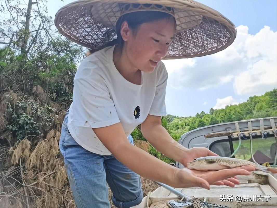 璐靛ぇ瀛﹂櫌,璐靛ぇ鏈鍗囧