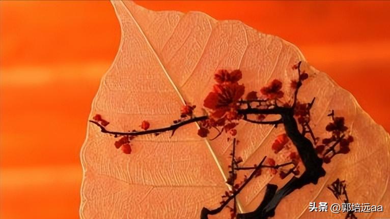 靠树叶一年赚8000万,一片树叶卖7000元