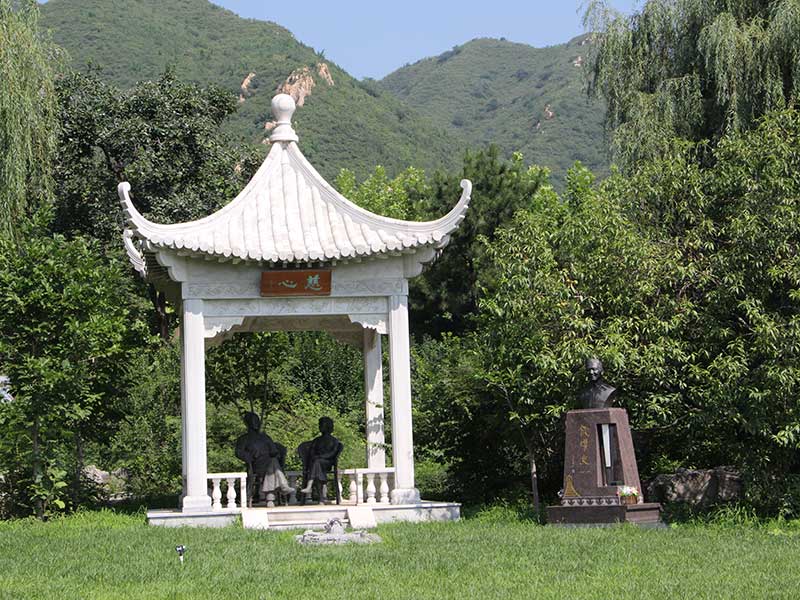 买墓地有啥讲究吗,选墓地有什么讲究